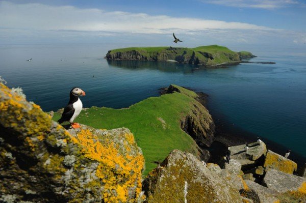 Hostel Exchange in Scotland, food and accommodation, island experience, alternative travel, hospitality,