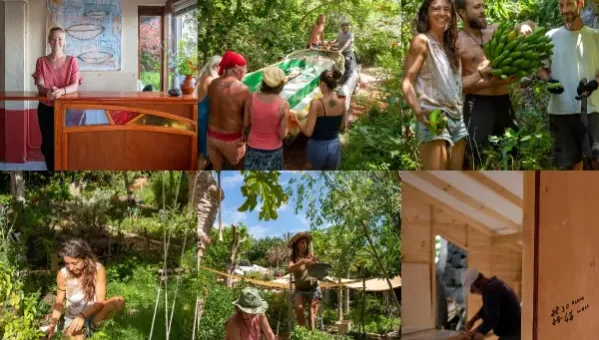Canary islands, permaculture, finca, Argayall, volunteer, hospitality exchange, food and accommodation, sustainable, organic, gardening, community