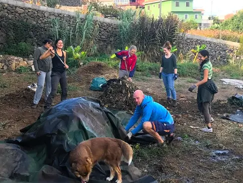 Finca, La Castana, Tenerife, volunteer,