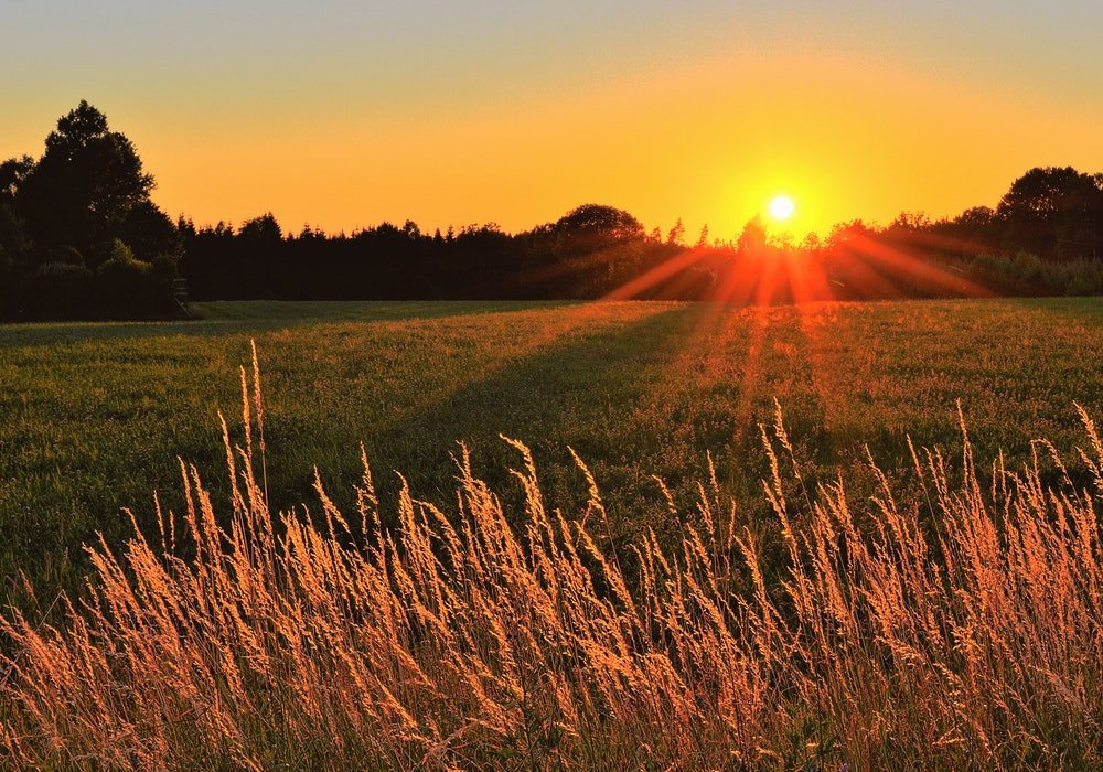 farm, exchange. hospitality, homestead, volunteering, green field, meadow, sunset, sunrise, abroad, project, lifestyles, voluntouring