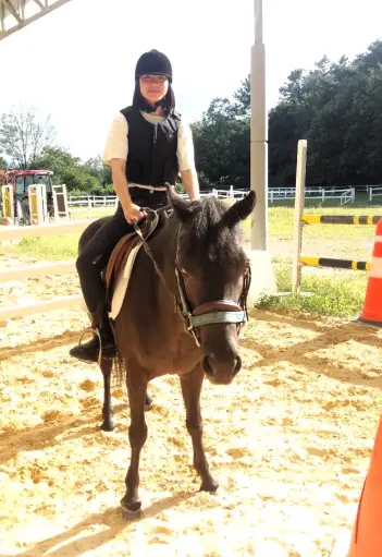 horse, riding, school, ranch, volunteering, South Korea