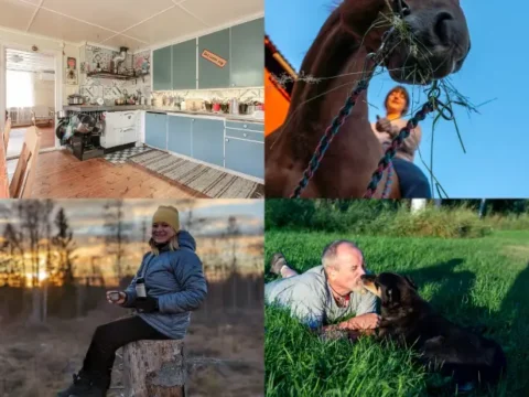 Sweden, ranch, horses, volunteer, Douglas