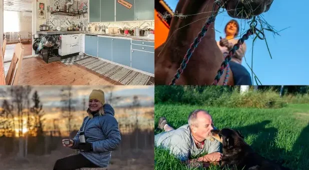 Sweden, ranch, horses, volunteer, Douglas