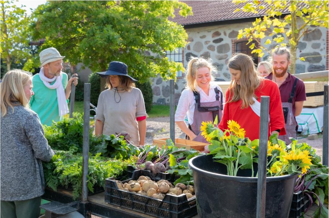 Sweden, ecovillage, intentional community, spiritual, volunteer exchange