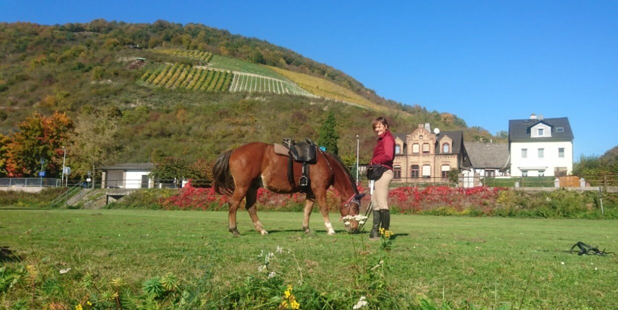 Volunteer with horse on a farm near Cologne, Germany, with scenic hillside vineyards and traditional countryside houses in the background.