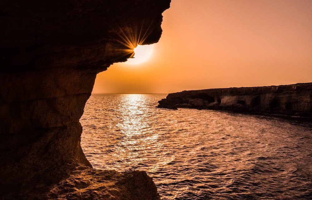 Cyprus, volunteering opportunities, animal rescue