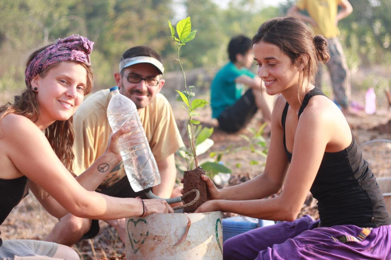 Sadhana forest, volunteer program, India, ecovillage, community, vegan, water, planting, trees