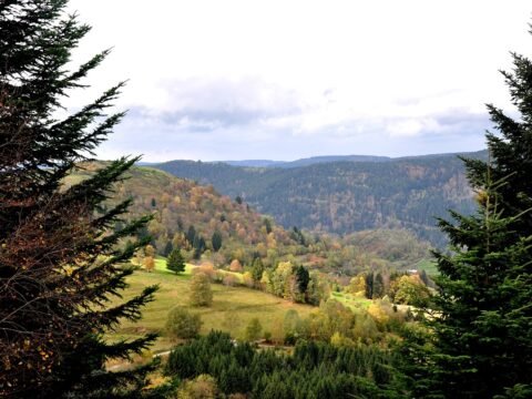 Vosges, mountain, France