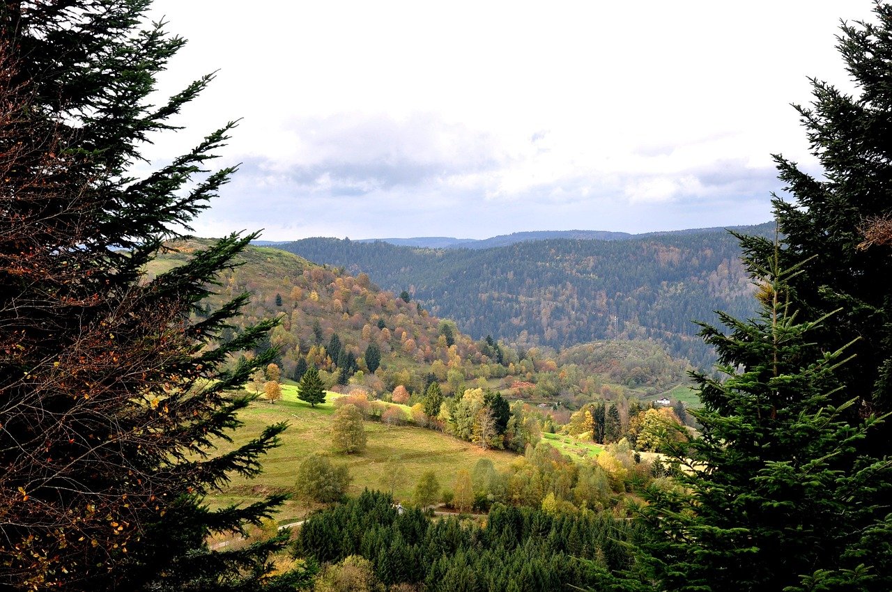 Vosges, mountain, France