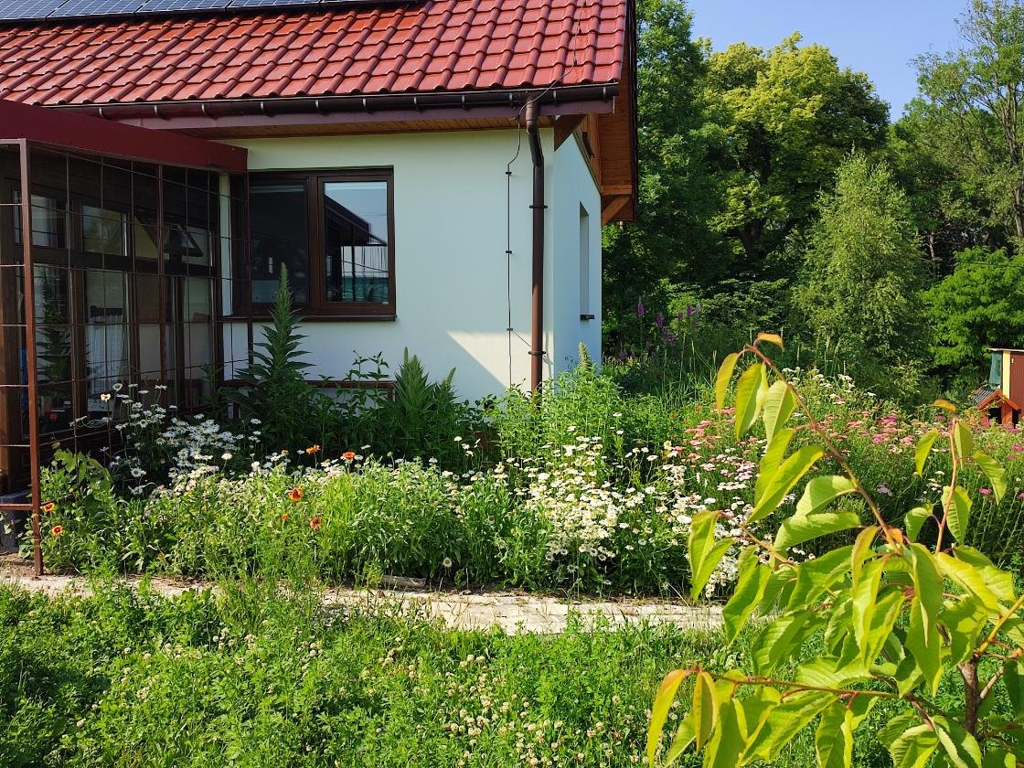 Permaculture volunteer opportunity, food and accommodation, medicinal herbs, self-sufficiency, Poland, Krakow