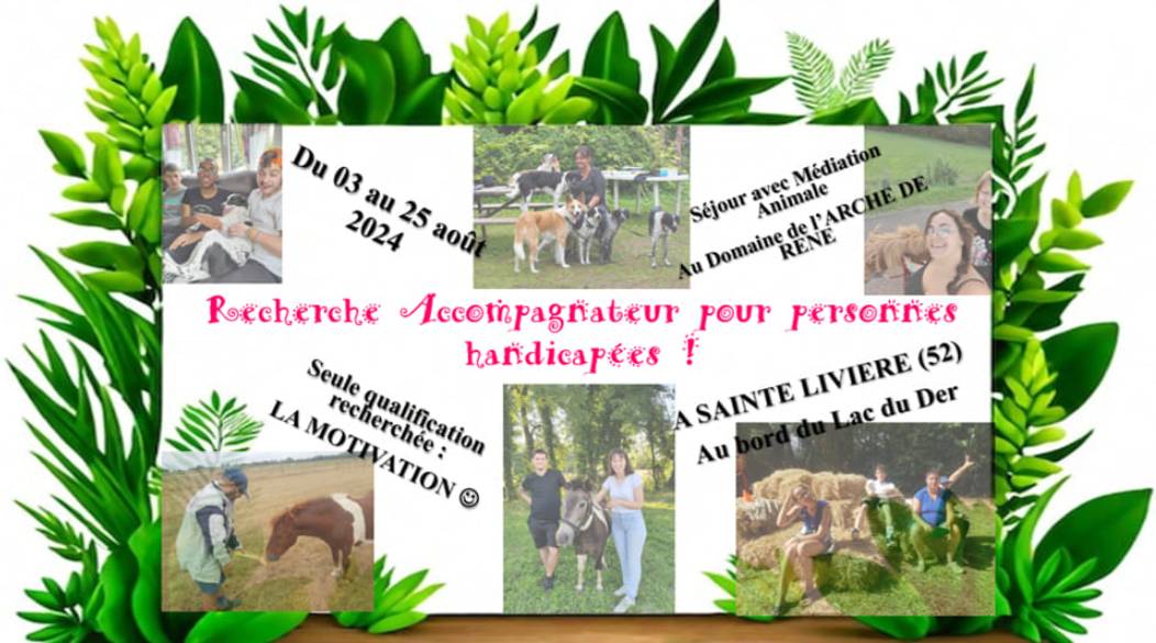 educational farm, France, volunteers, volunteer project