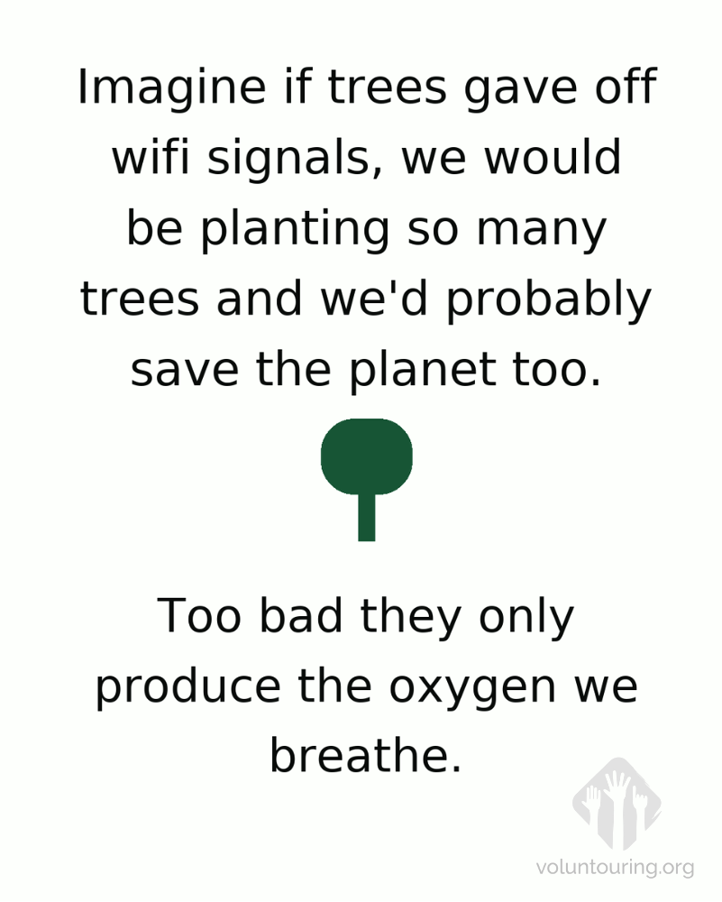 Minimalist poster with a short environmental quote that reads, “Imagine if trees gave off wifi signals, we would be planting so many trees and we’d probably save the planet too. Too bad they only produce the oxygen we breathe,” with a simple green tree icon in the center.