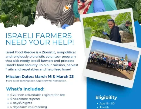 Israel, food rescue, volunteer