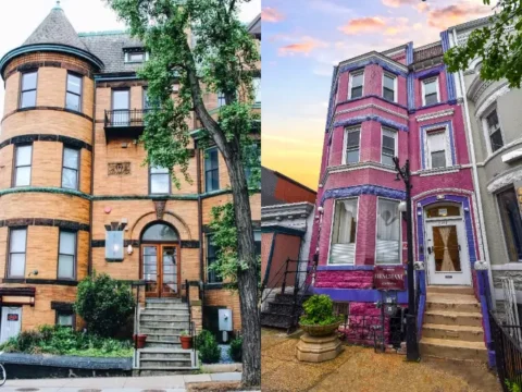 hostel, Washington D.C., volunteering,