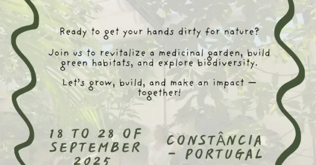 international, workcamp, portugal, summer, camp,