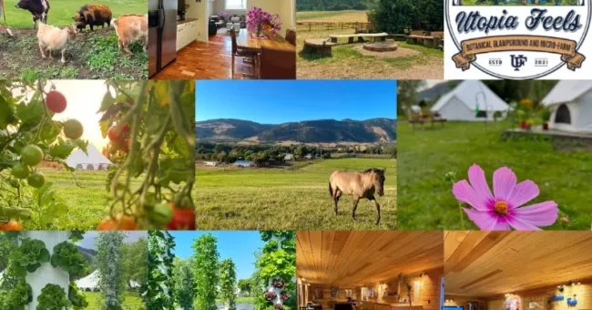Canada, off grid, farm, gardening, food and accommodation, work exchange, Utopia Feels