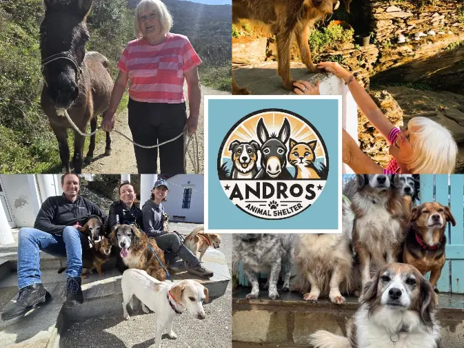 Animal shelter, volunteer program, Greece