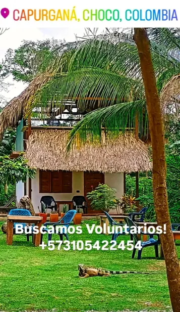 Colombia, hospitality, volunteer, cultural exchange, room and board, eco, hotel, food and accommodation