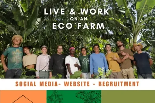 eco farm, Ecocaminhos, communication specialist, work, opportunity, social media, wordpress