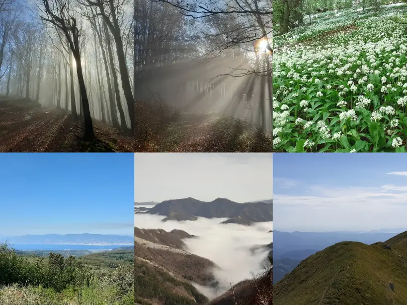 Apennines, Italy, trekking, hiking, photos, garlic, fog, panoramic view