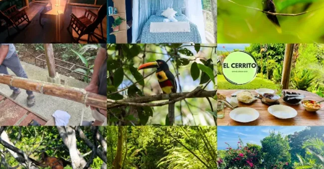A collage showing scenes from El Cerrito off-grid learning center in Costa Rica: candlelit porch with jungle view, a bed with mosquito net in a rustic cabin, a hummingbird in the trees, volunteers building with bamboo, a toucan perched on a branch, the El Cerrito logo in a garden, a shared outdoor meal setup, a squirrel monkey in the forest, a tropical trail through the jungle, and a garden with flowers and bamboo railing.