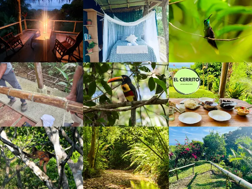 A collage showing scenes from El Cerrito off-grid learning center in Costa Rica: candlelit porch with jungle view, a bed with mosquito net in a rustic cabin, a hummingbird in the trees, volunteers building with bamboo, a toucan perched on a branch, the El Cerrito logo in a garden, a shared outdoor meal setup, a squirrel monkey in the forest, a tropical trail through the jungle, and a garden with flowers and bamboo railing.