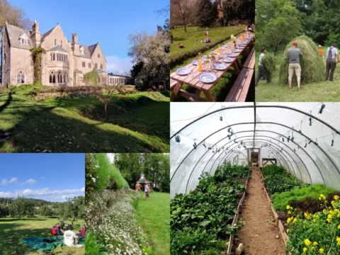 Collage of images from Monkton Wyld Court in Dorset, England, showing the historic Grade II listed rectory, volunteers gardening and working outdoors, a long outdoor dining table, a lush greenhouse, and scenic green landscapes, representing the eco-community's sustainable lifestyle and volunteer activities.