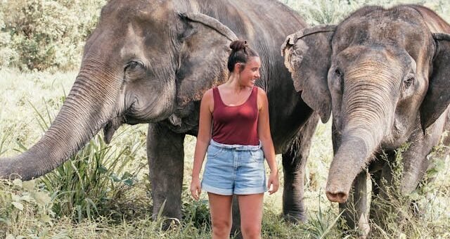 Young woman standing between two elephants in a grassy field at a tourist sanctuary, suggesting close human-animal interaction.