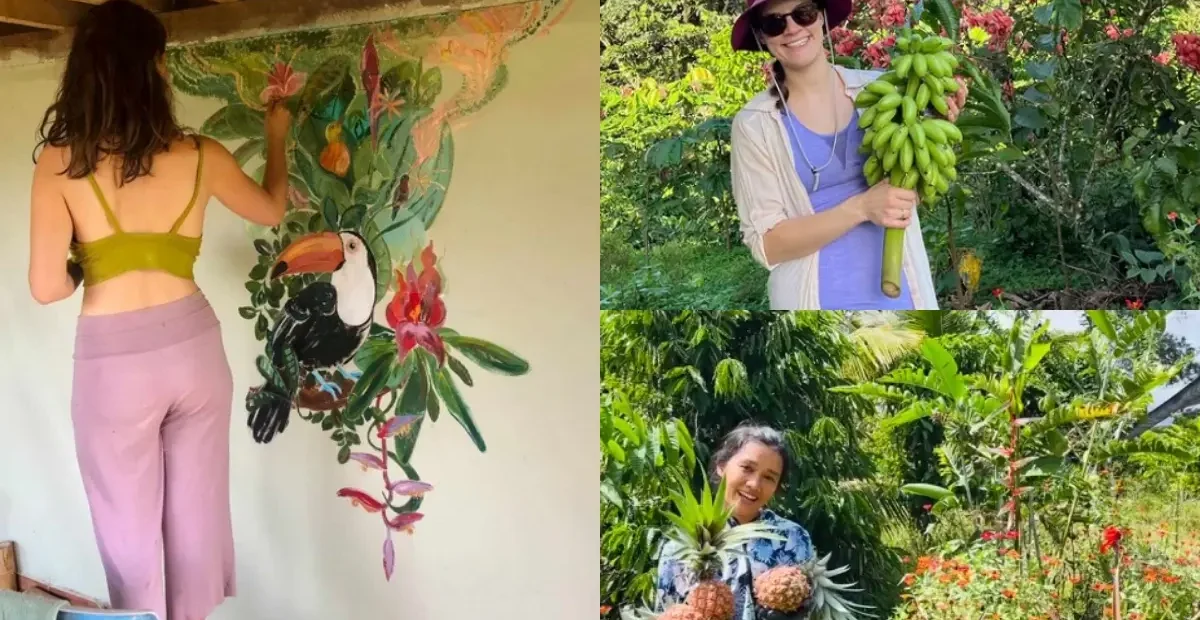 Volunteers painting a mural of a toucan, harvesting bananas, and picking pineapples in a lush tropical garden in Ecuador at Finca Del Soul