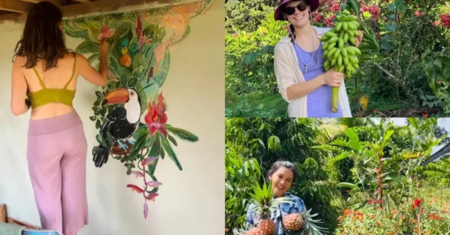 Volunteers painting a mural of a toucan, harvesting bananas, and picking pineapples in a lush tropical garden in Ecuador at Finca Del Soul