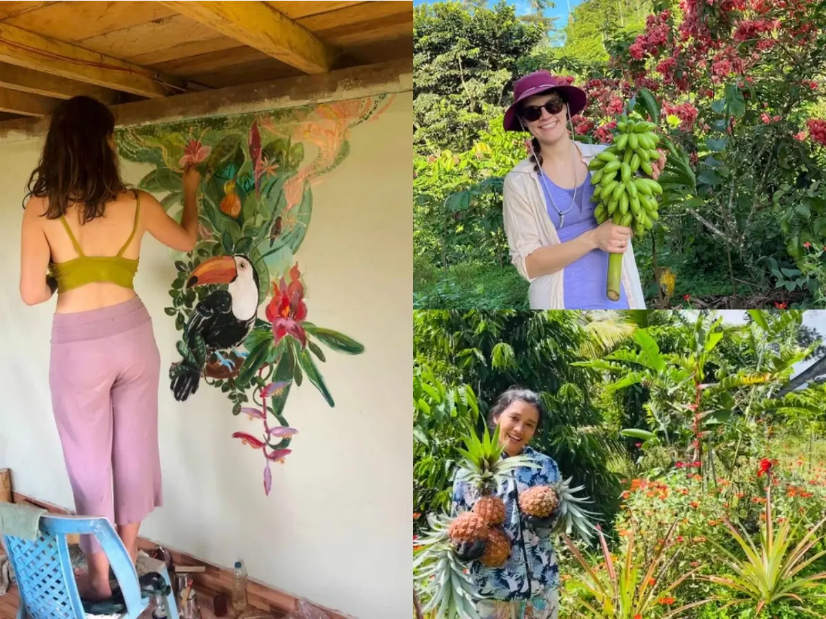 Volunteers painting a mural of a toucan, harvesting bananas, and picking pineapples in a lush tropical garden in Ecuador at Finca Del Soul