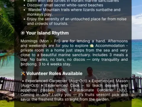 Promotional image for a volunteer opportunity on a tropical island in the Philippines, featuring palm trees, ocean views, and a description of the “Live the Island Life” sanctuary project offering roles in carpentry, gardening, and cooking.