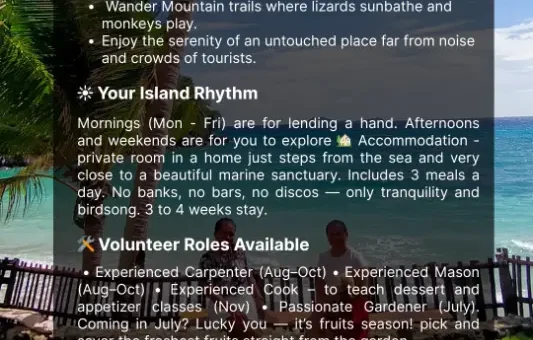 Promotional image for a volunteer opportunity on a tropical island in the Philippines, featuring palm trees, ocean views, and a description of the “Live the Island Life” sanctuary project offering roles in carpentry, gardening, and cooking.