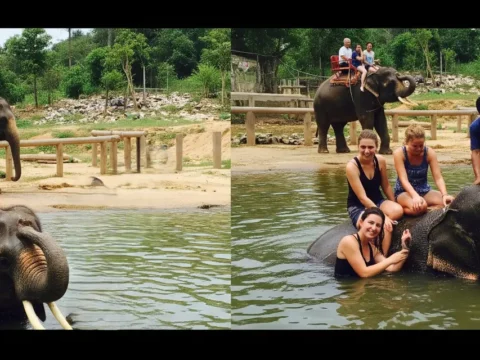 Tourists riding and bathing elephants at a tourist attraction posing as a sanctuary, with elephants in water and handlers nearby in an unnatural setting.