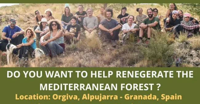 Group photo with text “ESC volunteer vacancies” for a Mediterranean forest project in Órgiva, Granada; apply by Sept 22.