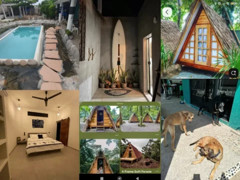 Collage showing Hostel Flakos in Playa Blanca, Mexico: small pool and stone path, minimalist hallway with surfboard and plants, A-frame wooden cabins under palms, simple bedroom with AC and king bed, and two dogs resting by the hostel.
