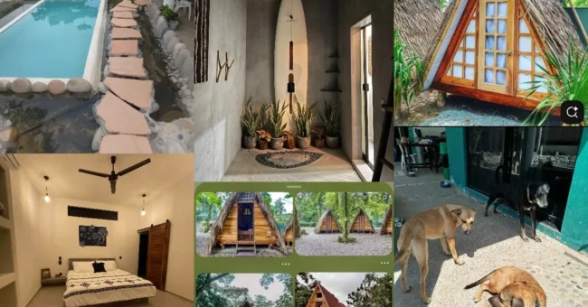 Collage showing Hostel Flakos in Playa Blanca, Mexico: small pool and stone path, minimalist hallway with surfboard and plants, A-frame wooden cabins under palms, simple bedroom with AC and king bed, and two dogs resting by the hostel.