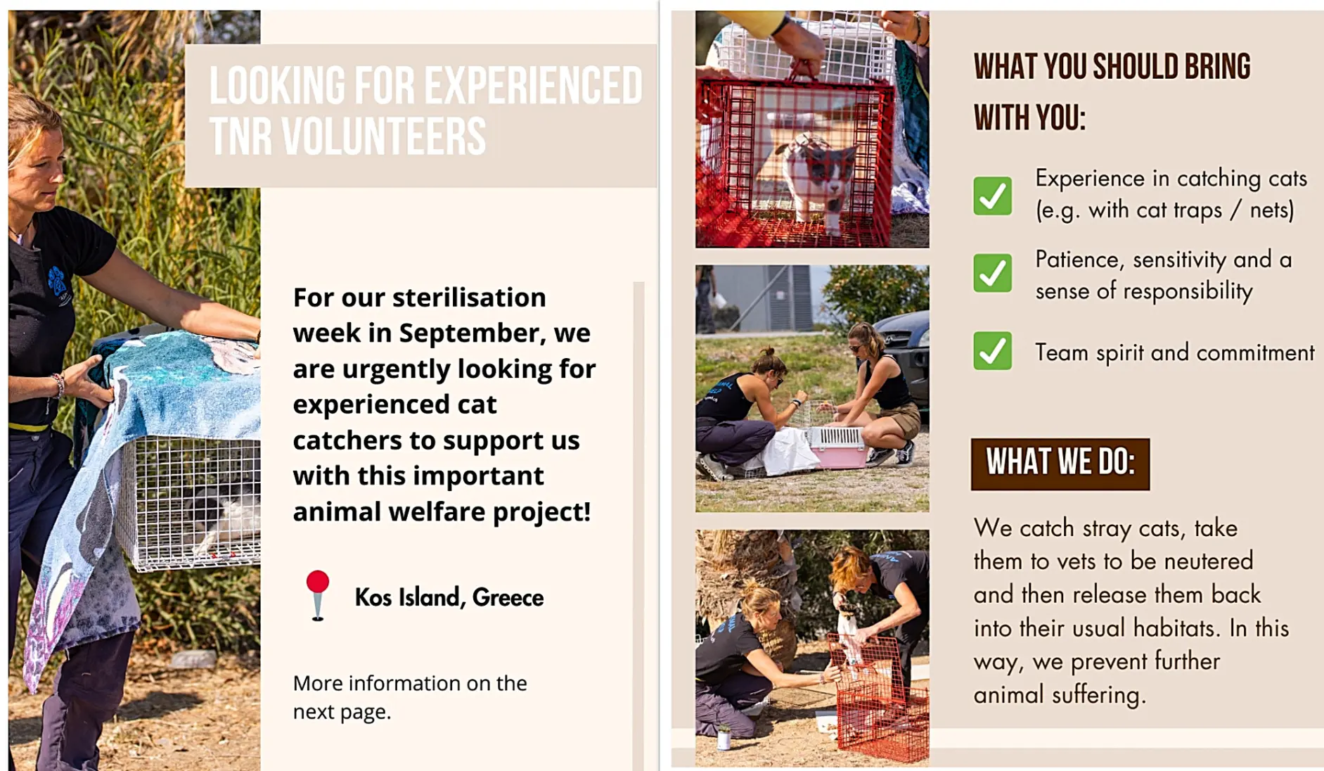 Poster recruiting experienced TNR volunteers for Kos, Greece: photos show humane traps, carriers, and volunteers handling cats. Text notes requirements (experience with traps/nets, patience, team spirit) and explains the work—catch, neuter, and return community cats.