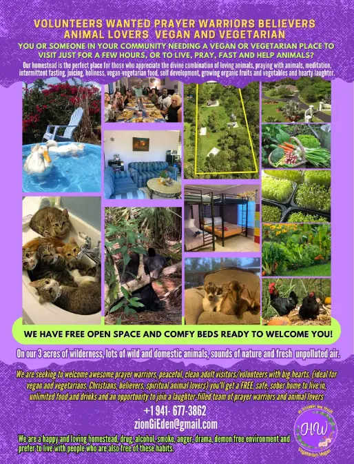 Poster collage advertising “Volunteers wanted—prayer warriors, believers, animal lovers (vegan/vegetarian)” at a Christian vegan homestead near Naples, Florida; photos show rescued animals, gardens, dorm bunks, pool and living areas, with text offering free beds and food
