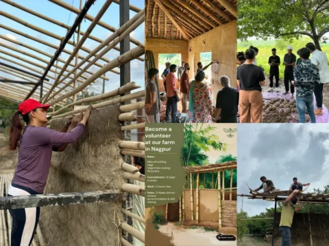 Collage of volunteers building bamboo-and-earth walls and training at Jeev Jantu Farm in Nagpur;