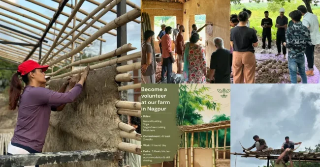 Collage of volunteers building bamboo-and-earth walls and training at Jeev Jantu Farm in Nagpur;