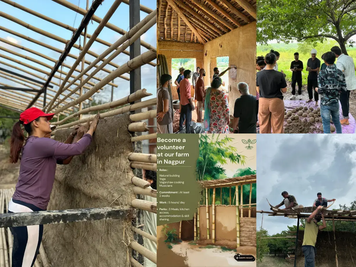Collage of volunteers building bamboo-and-earth walls and training at Jeev Jantu Farm in Nagpur;