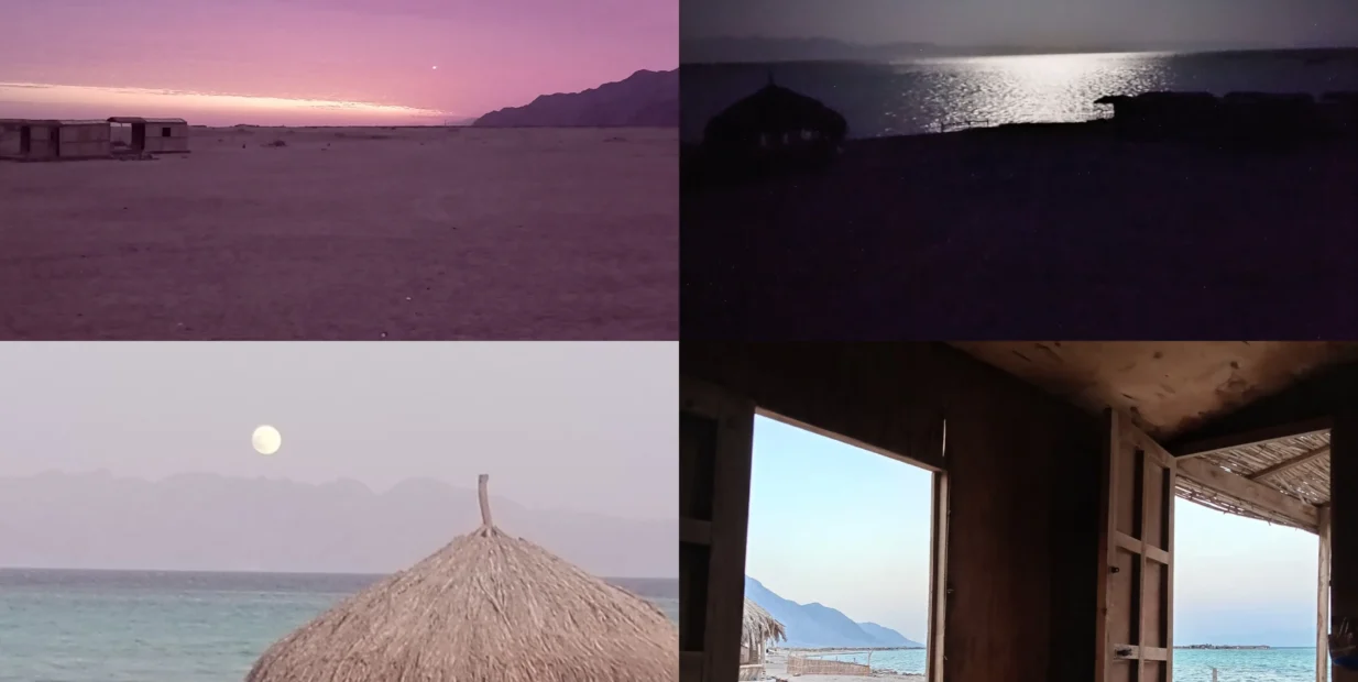 Abu Galoum eco-camp, South Sinai — Red Sea beach with thatch hut, desert sunset, moonlit shoreline and sea view from cabin; volunteer in Egypt.