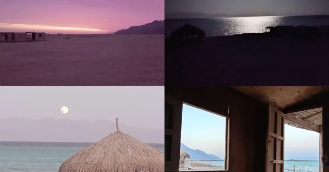 Abu Galoum eco-camp, South Sinai â Red Sea beach with thatch hut, desert sunset, moonlit shoreline and sea view from cabin; volunteer in Egypt.
