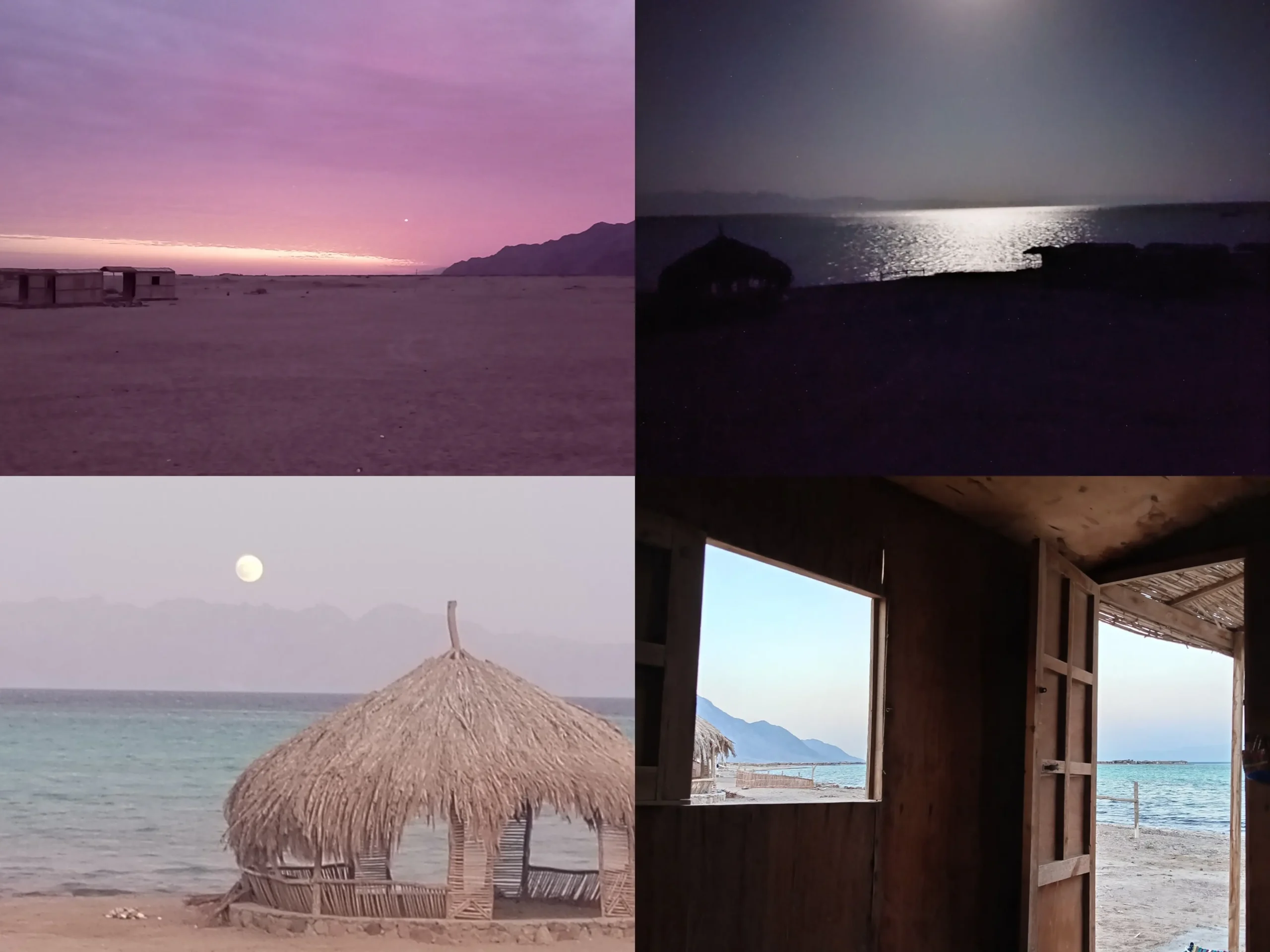 Abu Galoum Geo Tribe eco-camp, South Sinai - Red Sea beach with thatch hut, desert sunset, moonlit shoreline and sea view from cabin; volunteer in Egypt.