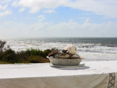 Volunteer pastry chef role at a beach guesthouse on Uruguay’s coast, seashells and ocean view.