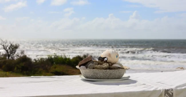 Volunteer pastry chef role at a beach guesthouse on Uruguayโs coast, seashells and ocean view.