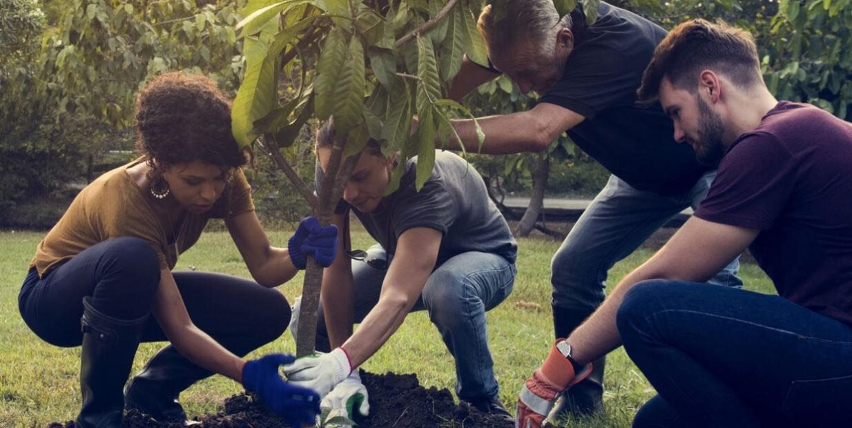Eco volunteer Latvia with Inspiria NGO: volunteers planting a young tree during a forest care project.