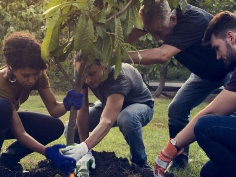 Eco volunteer Latvia with Inspiria NGO: volunteers planting a young tree during a forest care project.