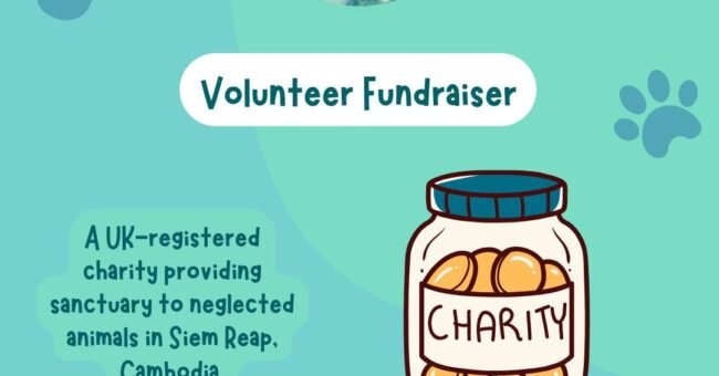 Remote volunteer fundraiser Cambodia poster for Animals of Our World, flexible 10–20 hours weekly, three months.